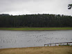 Austr_581_13.11.2007.JPG