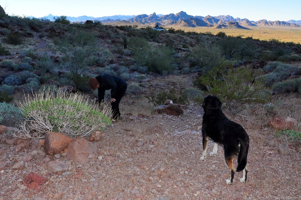 [DSC_0024%255B3%255D.jpg]