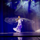 IMG_7672.jpg