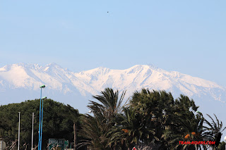 20140315_Saint_cyp_018.JPG