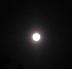 Blue moon full moon 5. 8.31.12
