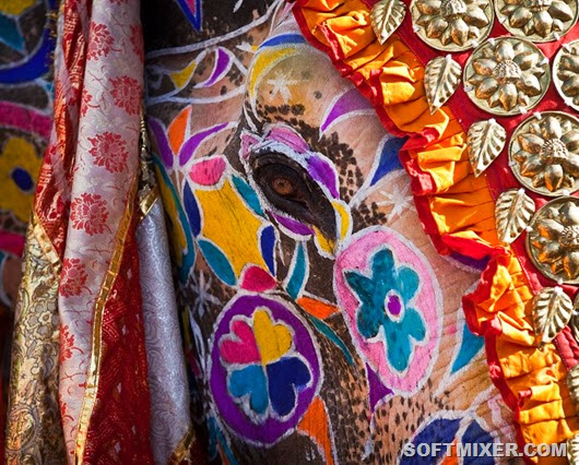 elephant-festival-jaipur-india