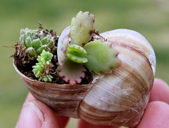 [clip_image0054.jpg]