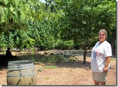 Koy Pond at Raffaldini's