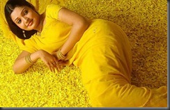 Vandana_Menon_in-yellow saree
