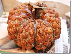 country living fair peach pit pumpkin2