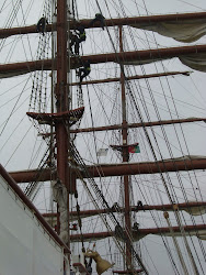 2013-04-24 Horta - 10