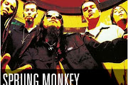 Sprung Monkey