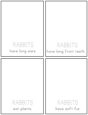 rabbitbook