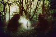 Wolves in the Throne Room