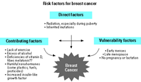 breast cancer risk factors