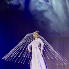 IMG_7660.jpg