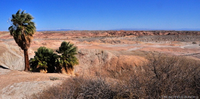 [DSC_0043%255B4%255D.jpg]