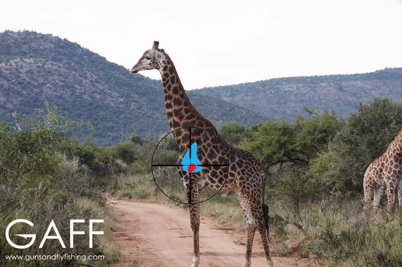 Giraffe-hunting-shot-placement  (1).jpg