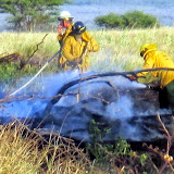 Firefighters using branches and firehoses at gulch base