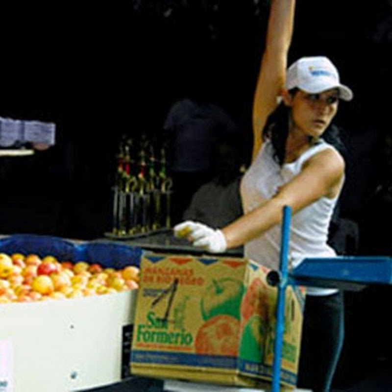 Colorido y alegría en la Fiesta Nacional de la Manzana.