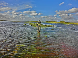 Skjern Au _ Oktober 2012 - 009