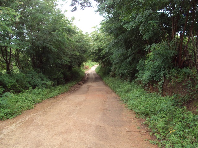 [DSC02832%255B3%255D.jpg]