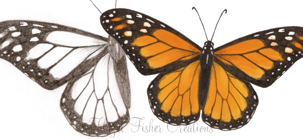 2013Feb12 butterflies designs 1