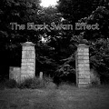 The Black Swan Effect