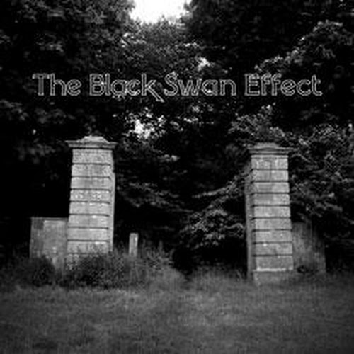 The Black Swan Effect