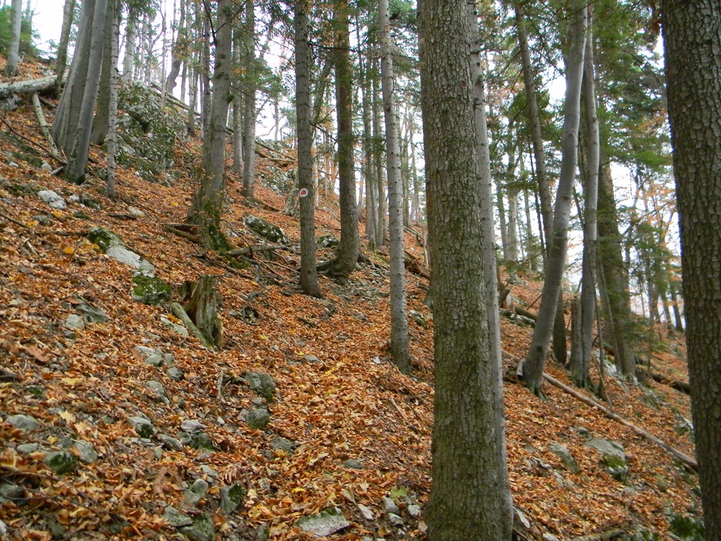[DSCN19223.jpg]