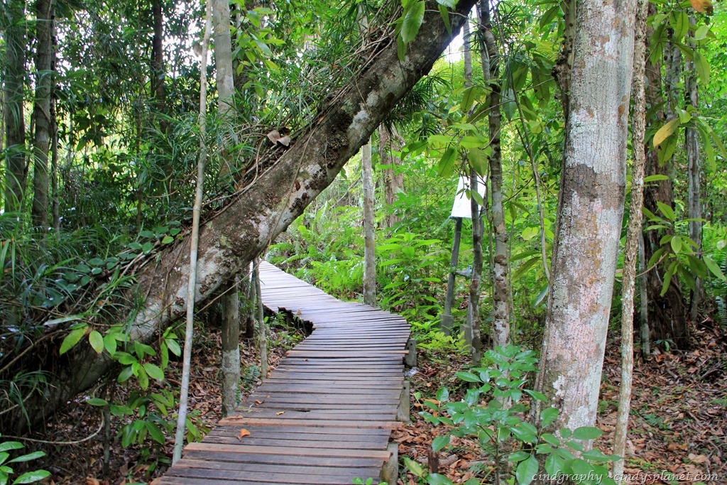 [Krabi453.jpg.webp]