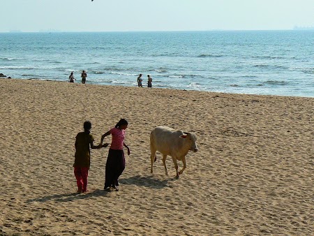 40. Plaja Goa.JPG
