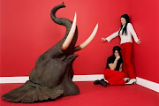 The White Stripes