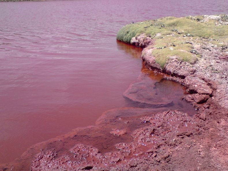 red-lagoon-chile-5