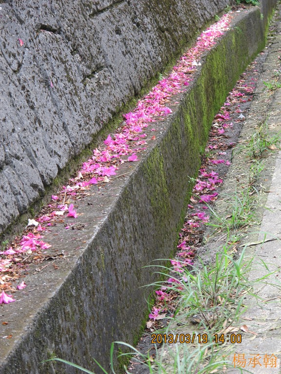 [0319%2520045%2520-%2520%25C3%2599%25C2%25AA%2540%25C3%25B0%25C2%258CW%255B4%255D.jpg]