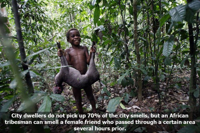 [10_interesting_facts_about_smelling_640_09%255B4%255D.jpg]