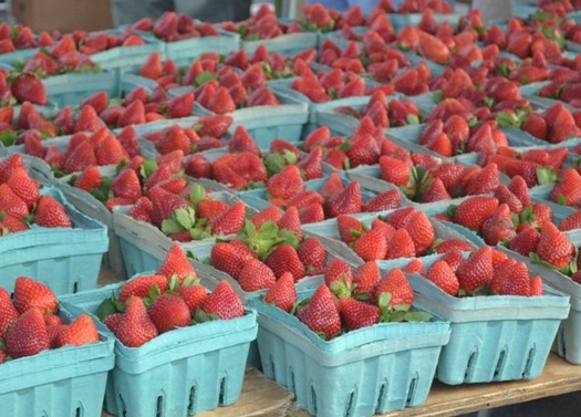 Strawberries - they smelled wonderful!
