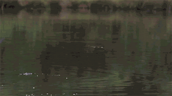 anigif_enhanced-buzz-26449-1342213383-7%
