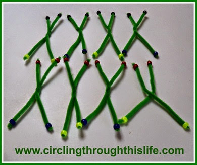 Chromosome Models Science from Moving Beyond the Page review at Circling Through This Life