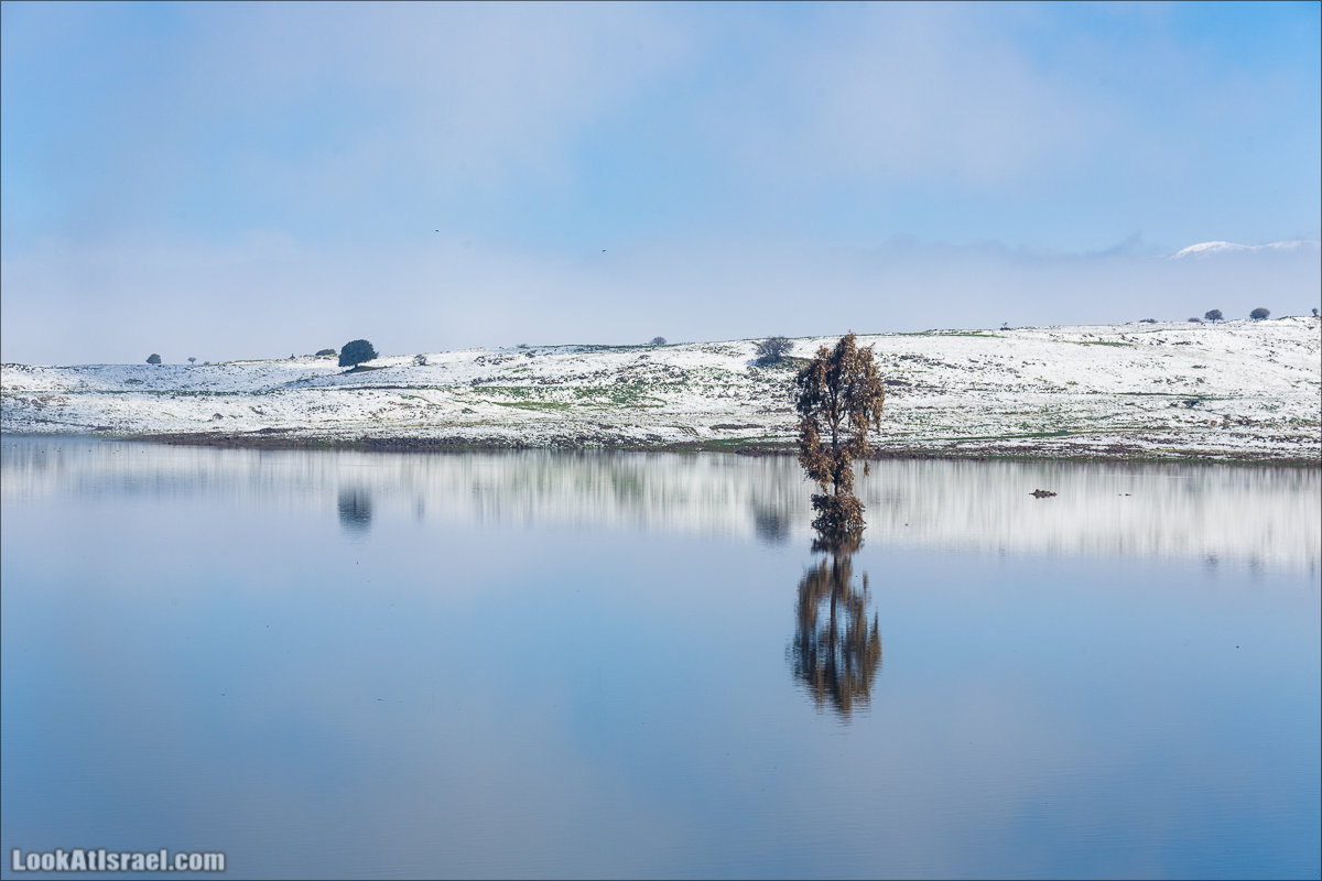 LookAtIsrael.com | Снег в Израиле, Голанские высоты и Галилея | Snow in Israel, Golan Heights and Galilee | שלג בישראל, רמת הגולן וגליל