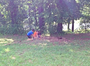 boys looking for bugs (1 of 1)