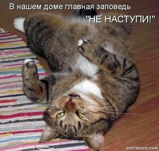 [904b7bc9bdf34bfb77d265be6f4_prev%255B3%255D.jpg]