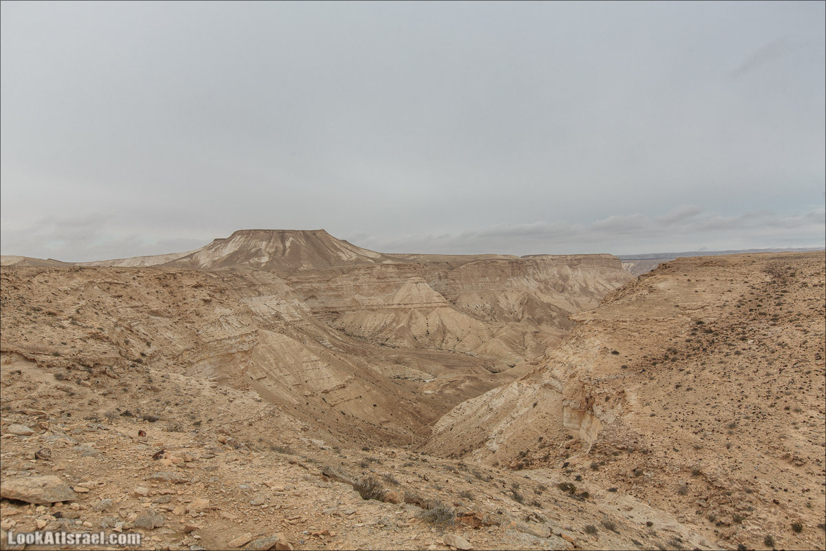 Лунные пейзажи пустыни Негев | Lunar landscapes of the Negev | LookAtIsrael.com - Фото путешествия по Израилю