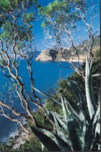 liguria_biodiversita2 liguria_biodiversita2