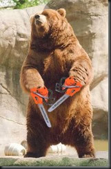 2007-11-29-chainsaw-bear