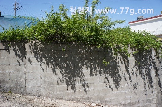 [77gDSC01294-20130516-140523%255B3%255D.jpg]