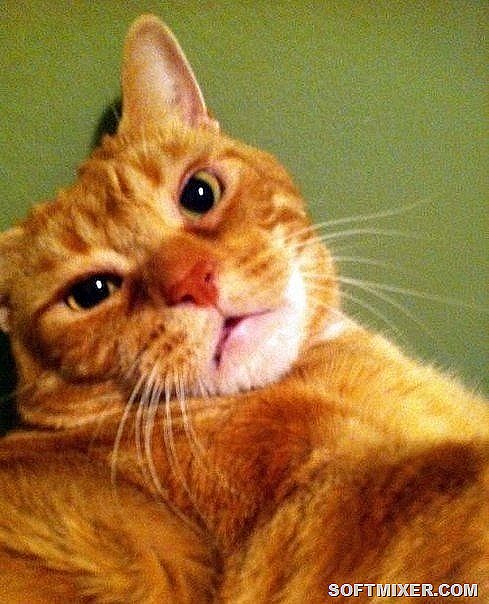 [AE9e81juhbU%255B6%255D.jpg]