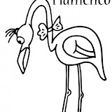 flamenco-t10461.jpg