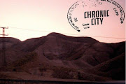 Chronic City