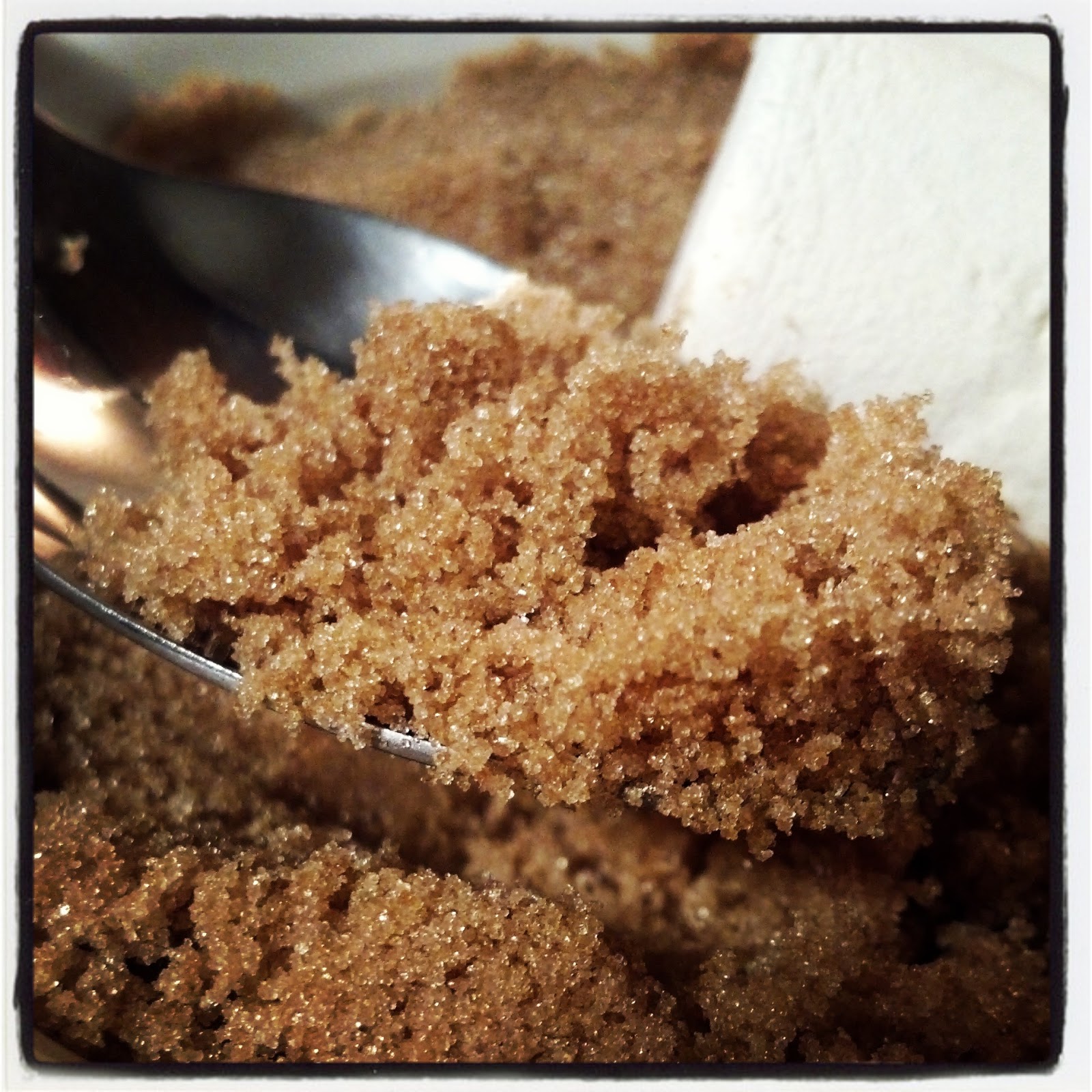 An Onion Exposed How to Store Brown Sugar