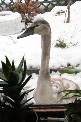 20101227 (1) (Large)