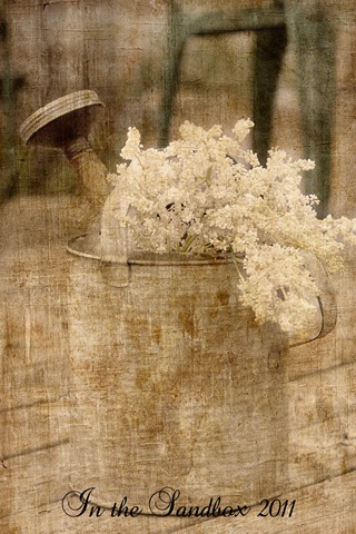 [watering-can-with-linen-tex%255B4%255D.jpg]