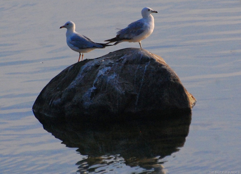 [DSC_9954%255B4%255D.jpg]