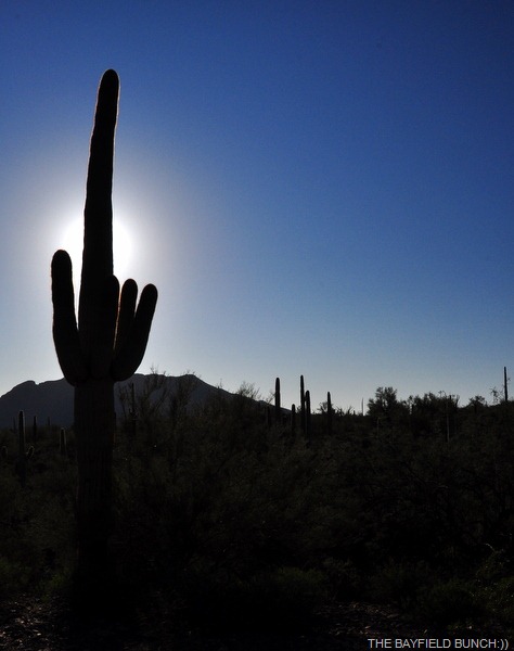 [DSC_0004%255B4%255D.jpg]